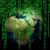 Protecting Your Data in the Quantum Age